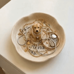 Hannah's Pottery - Custom Dog Pet Ring Dishes